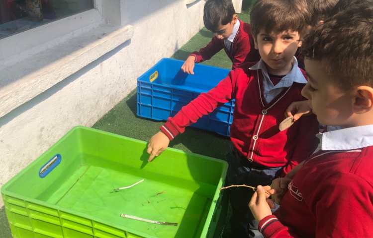 علوم:آزمایش اجسام سبک و سنگین در آب 4