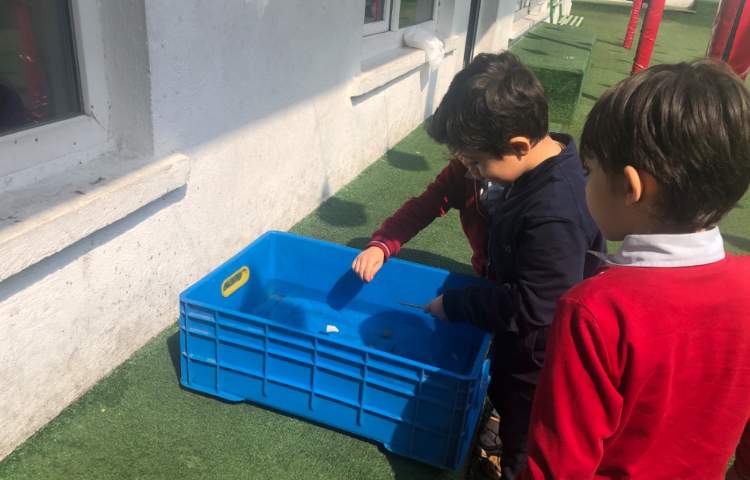 علوم:آزمایش اجسام سبک و سنگین در آب 5