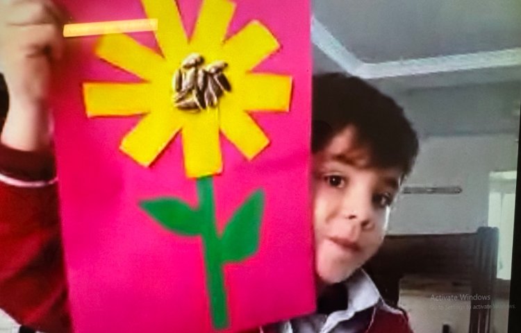 علوم:آشنایی با اجزای گیاه 1