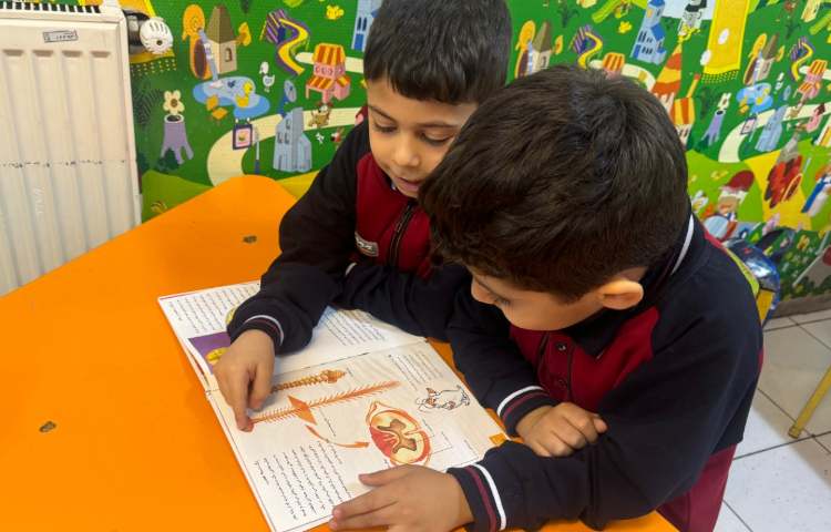 علوم:آشنایی با اعضای داخلی بدن 1