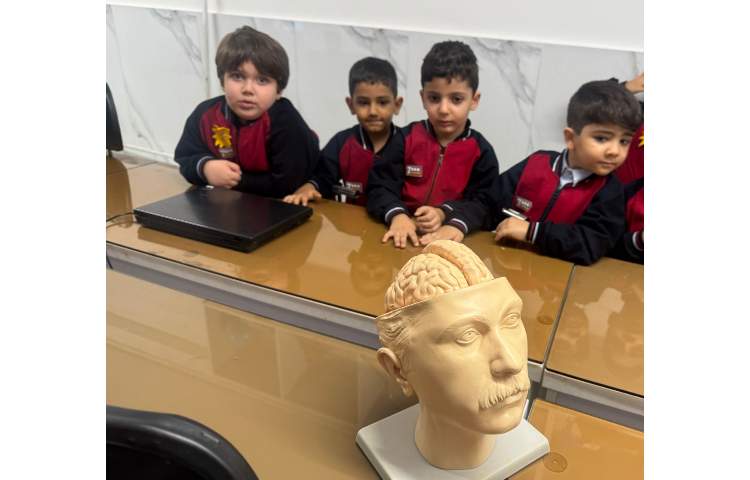 علوم:آشنایی با اعضای داخلی بدن