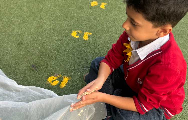 علوم:آشنایی با مراحل پخت نان 4