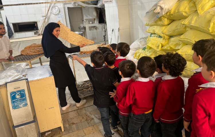 علوم:آشنایی با مراحل پخت نان 6