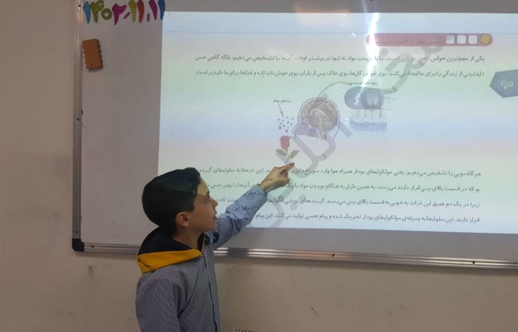 علوم-ارائه ی دانش‌آموزان در رابطه با اندام‌های حسی 2