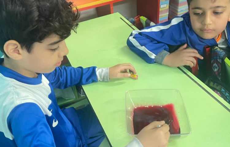 علوم(برای جشن اماده می شویم) 4