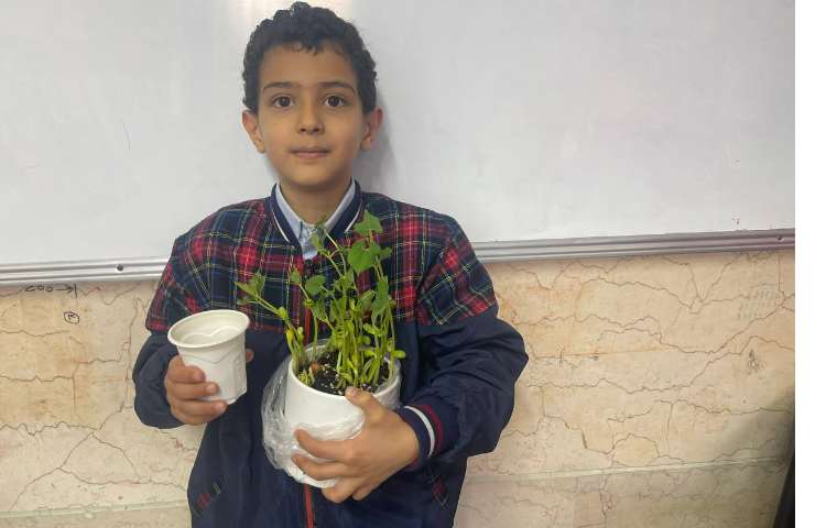 علوم،تاثیر نور و‌گرمای‌خورشید بر گیاهان 1