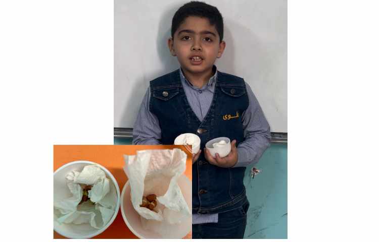 علوم،تاثیر نور و گرمای خورشید بر گیاهان 2