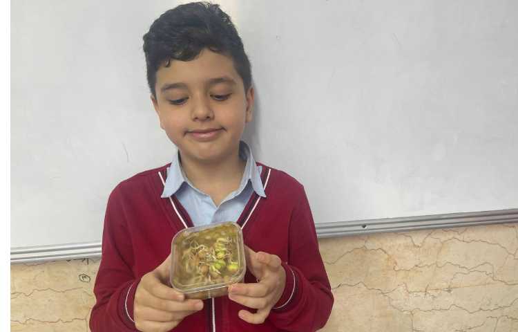 علوم،تاثیر نور و‌گرمای‌خورشید بر گیاهان 2