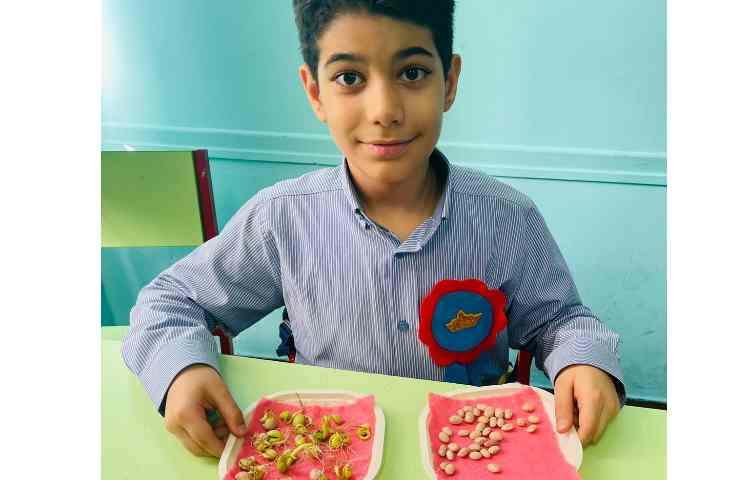 علوم،تاثیر نور و گرمای خورشید بر گیاهان 4