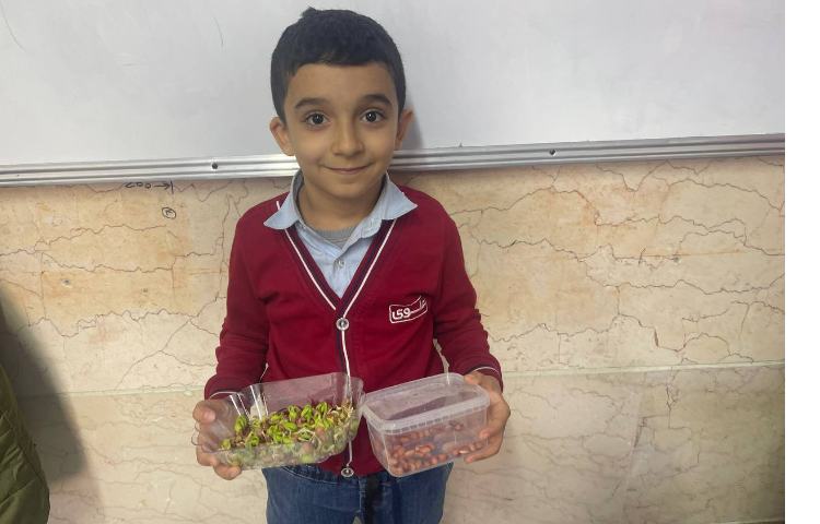 علوم،تاثیر نور و‌گرمای‌خورشید بر گیاهان 4