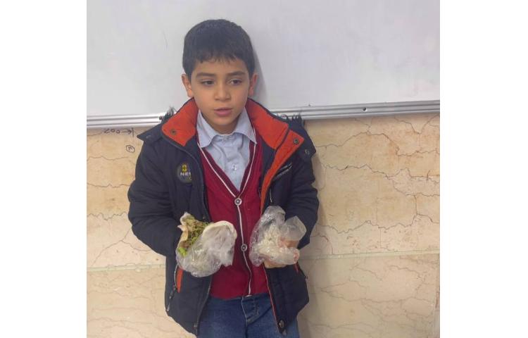 علوم،تاثیر نور و‌گرمای‌خورشید بر گیاهان 5