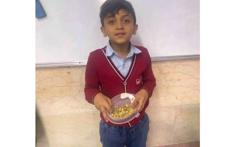 علوم،تاثیر نور و‌گرمای‌خورشید بر گیاهان 6