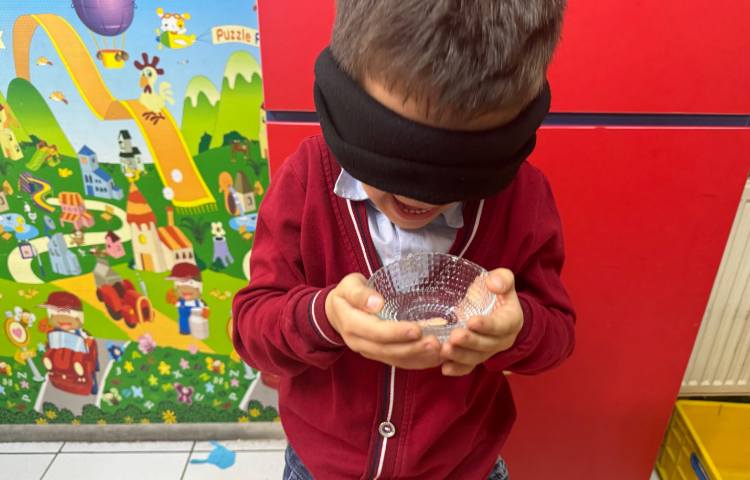 علوم:حس بویایی 1