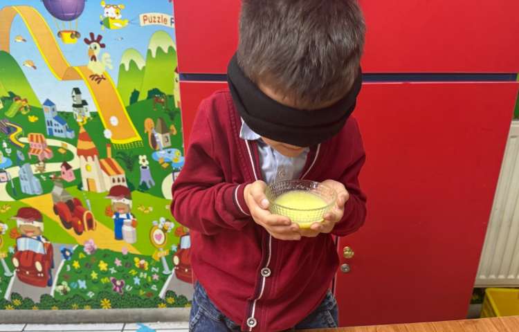 علوم:حس بویایی 2