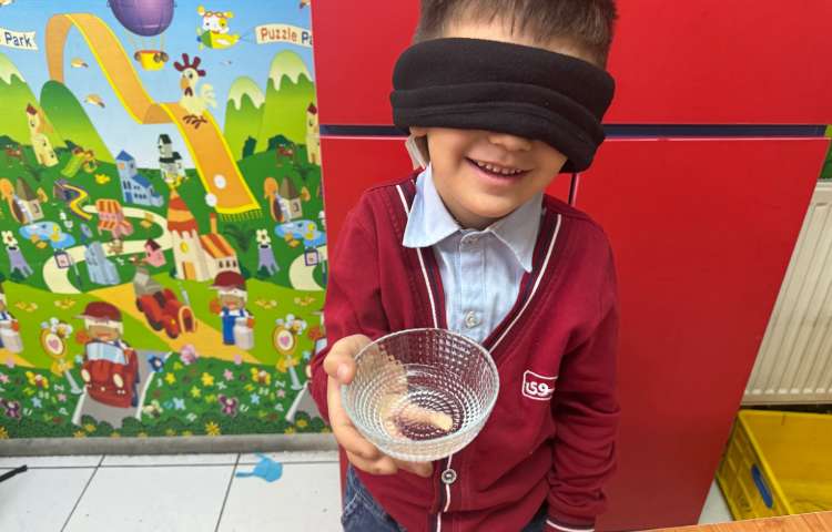 علوم:حس بویایی