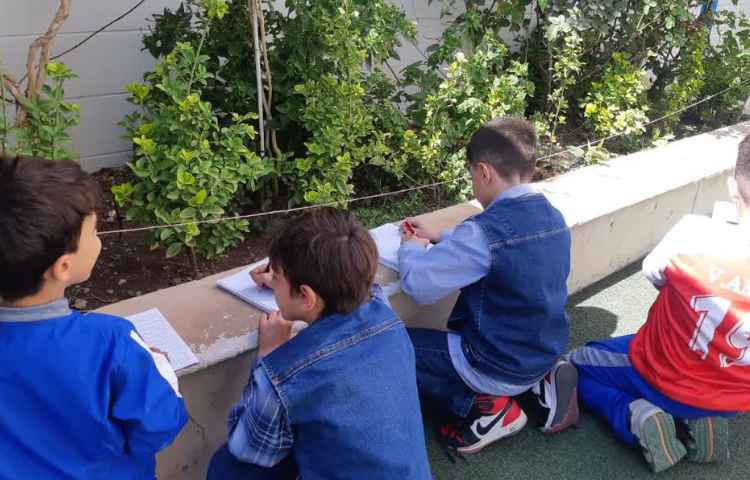 علوم(حواس پنجگانه،مشاهده ی دقیق) 4