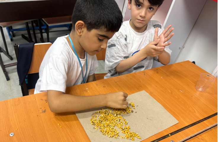 علوم:حیوانات اهلی و وحشی 10