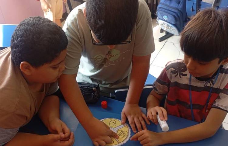 علوم،دست ورزی مبحث چرخه ی زندگی 2