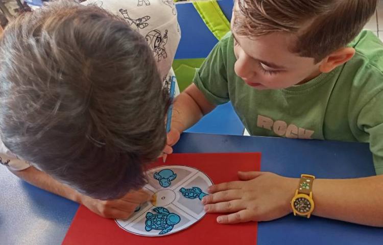 علوم،دست ورزی مبحث چرخه ی زندگی