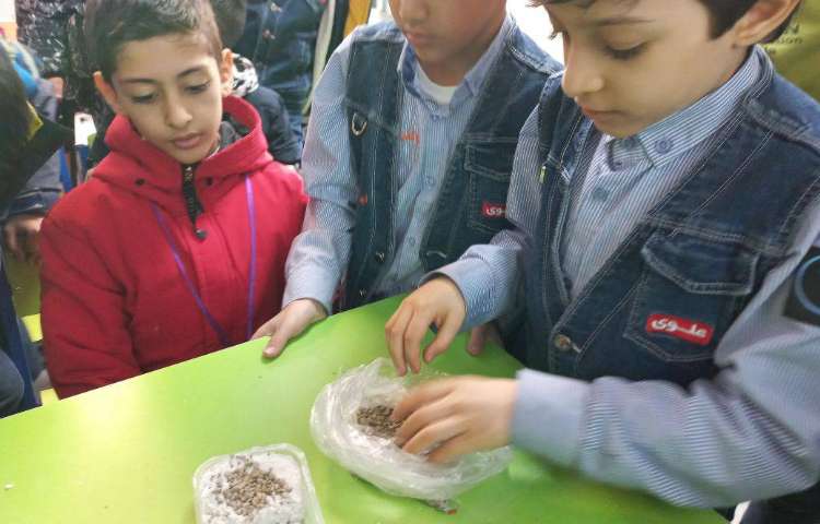 علوم-ساخت سنگهای رسوبی 2