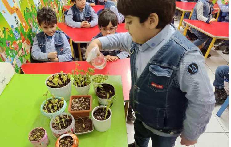 علوم،فصل گیاهان.رشد و آبیاری گیاهان 2