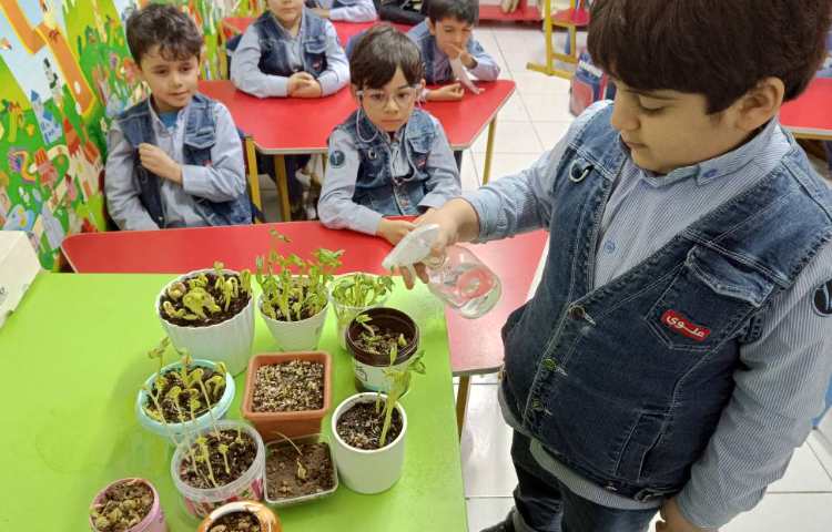 علوم،فصل گیاهان.رشد و آبیاری گیاهان