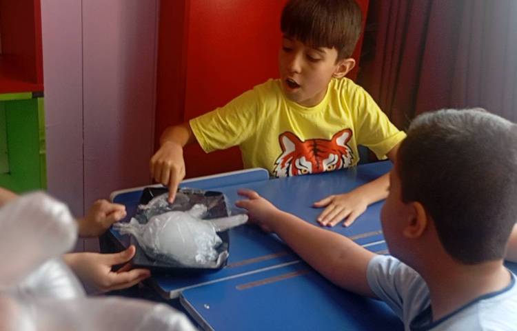 علوم،مبحث حالت های مختلف مواد. 3