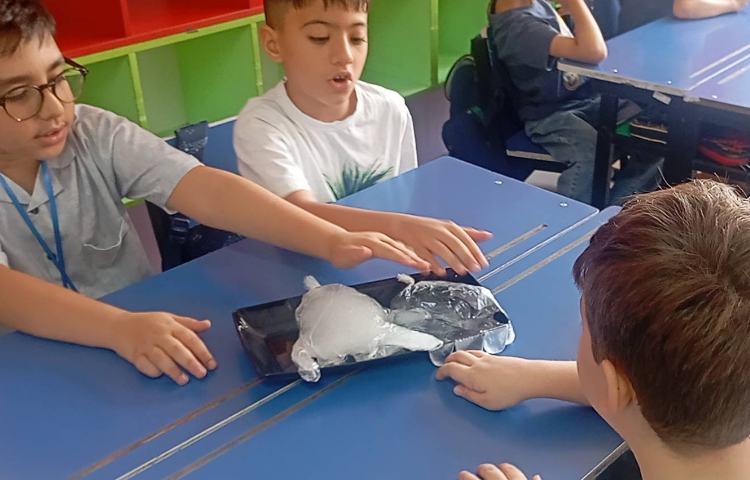 علوم،مبحث حالت های مختلف مواد. 4