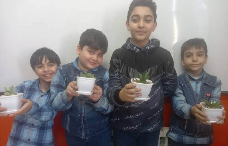 :علوم،مبحث گیاهان، درس یازدهم،بکارید و ببینید