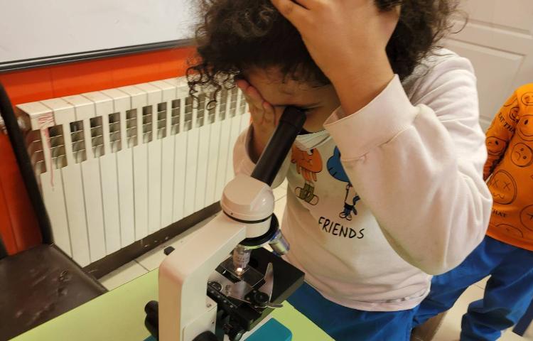 :علوم،موجودات زنده و غیر زنده، کلاس انگور 1