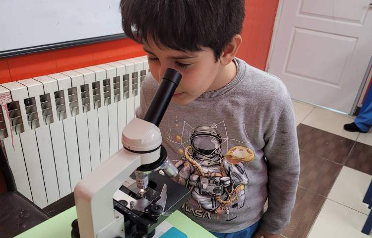 :علوم،موجودات زنده و غیر زنده، کلاس انگور 5