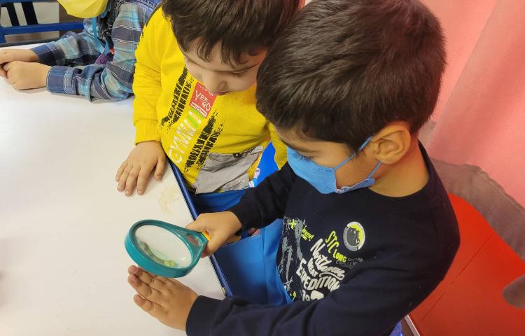 :علوم،موجودات زنده و غیر زنده، کلاس انگور 6