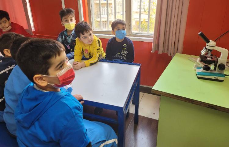 :علوم،موجودات زنده و غیر زنده، کلاس انگور 7