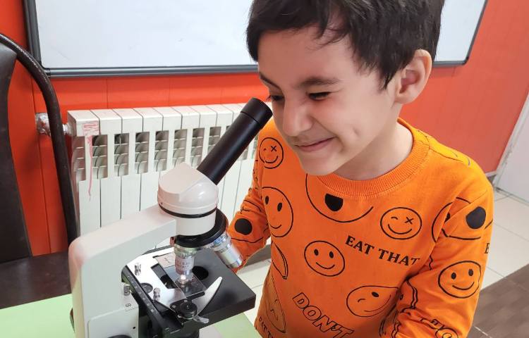 :علوم،موجودات زنده و غیر زنده، کلاس انگور