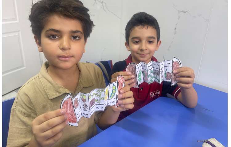 علوم،چرخه رشد گیاهان 4