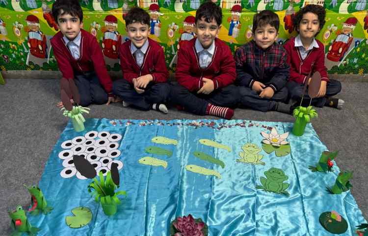 علوم:چرخه زندگی قورباغه 4