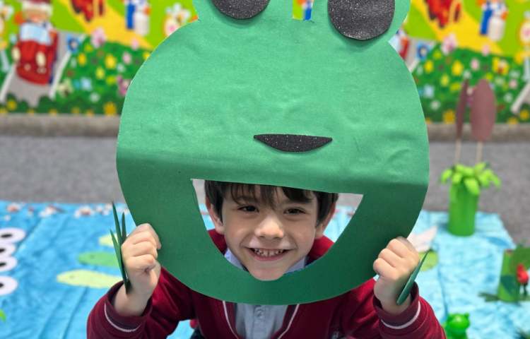 علوم:چرخه زندگی قورباغه 5