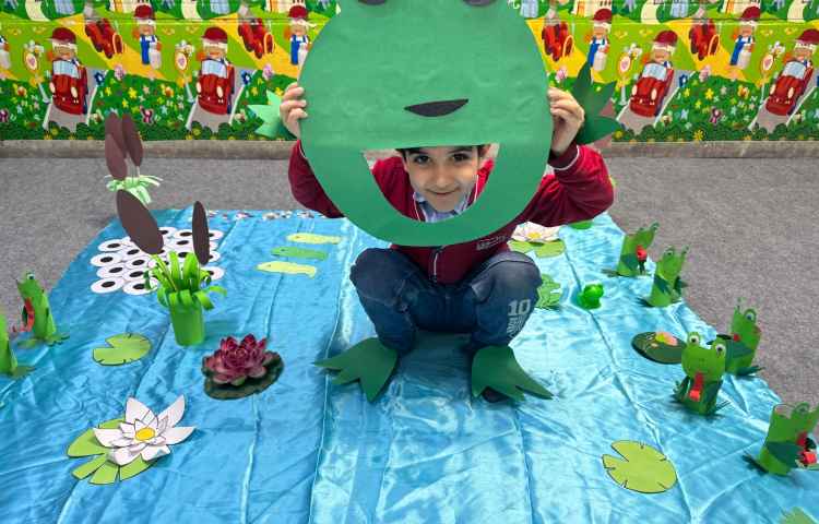 علوم:چرخه زندگی قورباغه 6