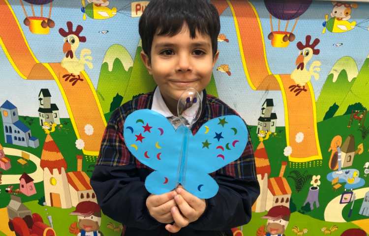 علوم:چرخه زندگی پروانه 1