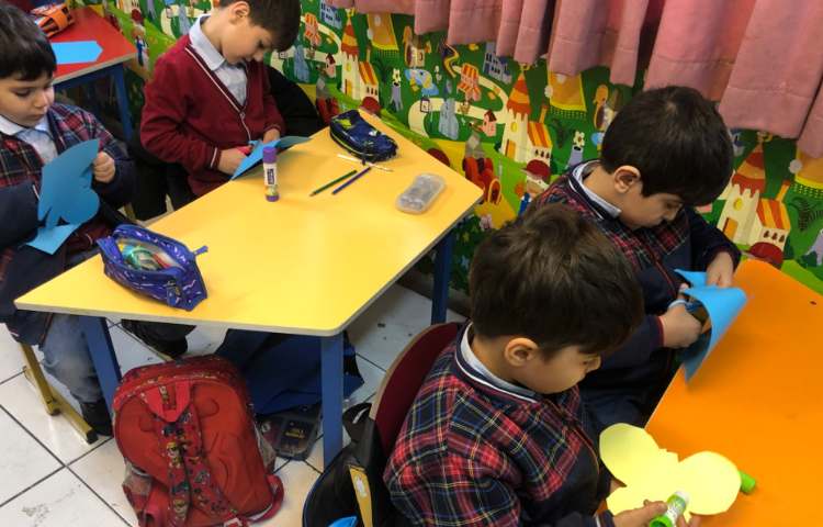 علوم:چرخه زندگی پروانه 4