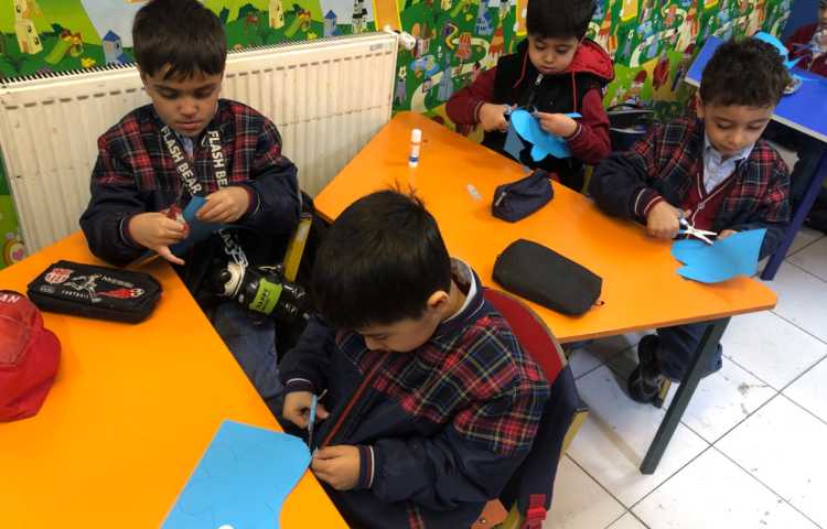 علوم:چرخه زندگی پروانه 5