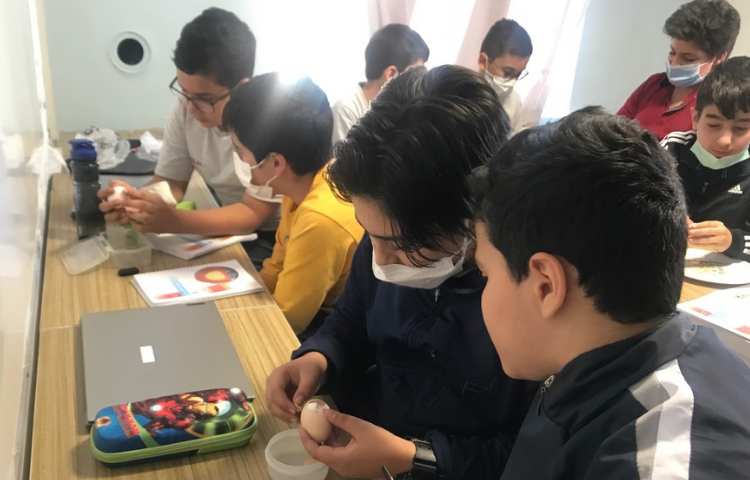 علوم-کلاس ققنوس 1