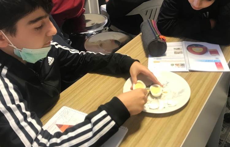 علوم-کلاس ققنوس 3