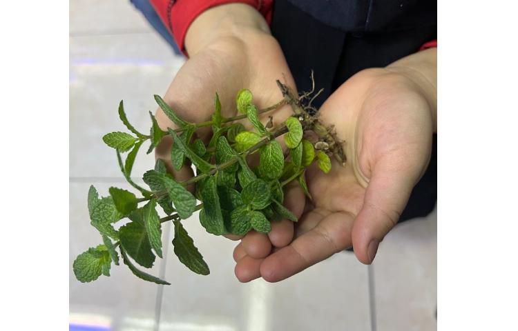 علوم آزمایشگاه ( درس 12) 2