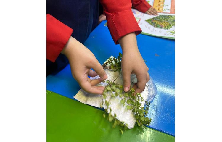 علوم آزمایشگاه ( درس 12) 5