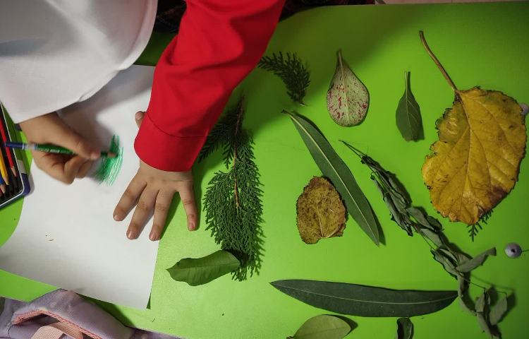 علوم آزمایشگاه 2