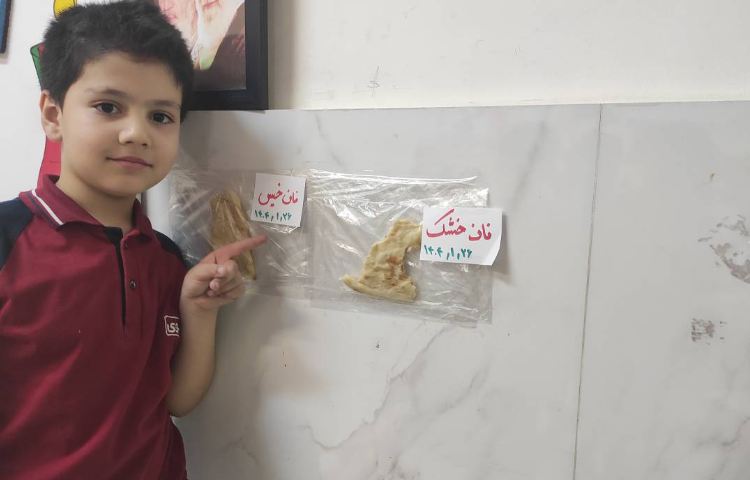 علوم آزمایش اثر آب بر مواد 2