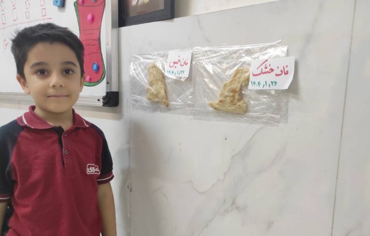 علوم آزمایش اثر آب بر مواد 3