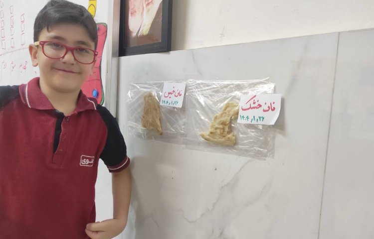 علوم آزمایش اثر آب بر مواد 4