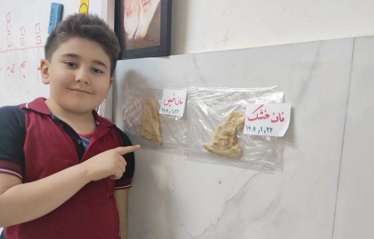 علوم آزمایش اثر آب بر مواد 5